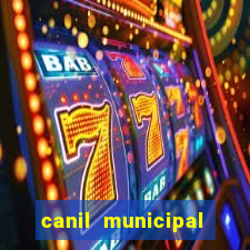 canil municipal porto alegre